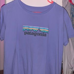 patagonia t-shirt
